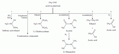acetaldehydreactions